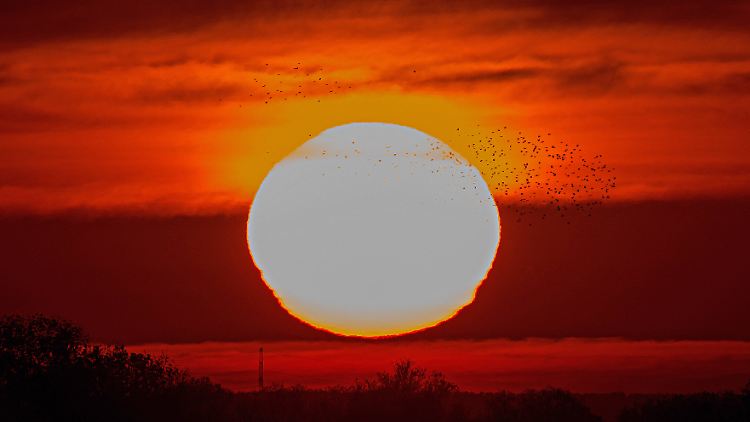 Laut NOAA war der Oktober 2021 weltweit der viertwärmste Oktober seit Beginn der Aufzeichnungen.