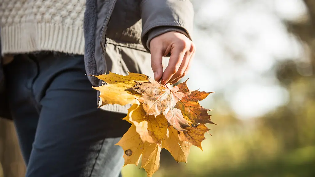 Gesunde-Alltagsroutinen-Regelmaessige-Bewegung-an-der-frischen-Luft-hilft-das-Immunsystem-zu-unterstuetzen