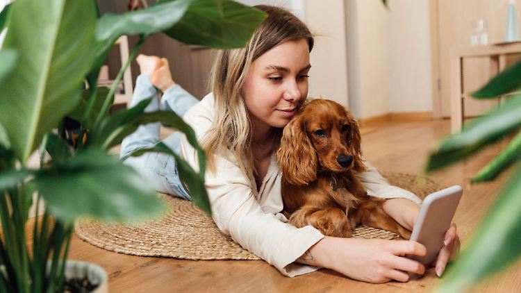Unklar, ob der Hund die Kausalität begreift: Die Entwicklerin des DogPhone ist Spezialistin für die Interaktion von Tieren mit Computern.