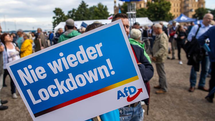 In die Untersuchung wurden mehr als 48 Faktoren einbezogen, um alternative Erklärungsversuche auszuschließen.