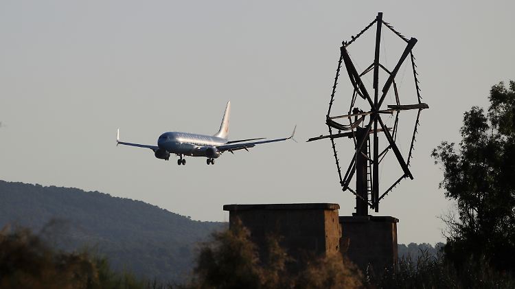 Mallorca liegt bei den Buchungen für den kommenden Sommer klar auf Platz eins - zumindest bei Tui.