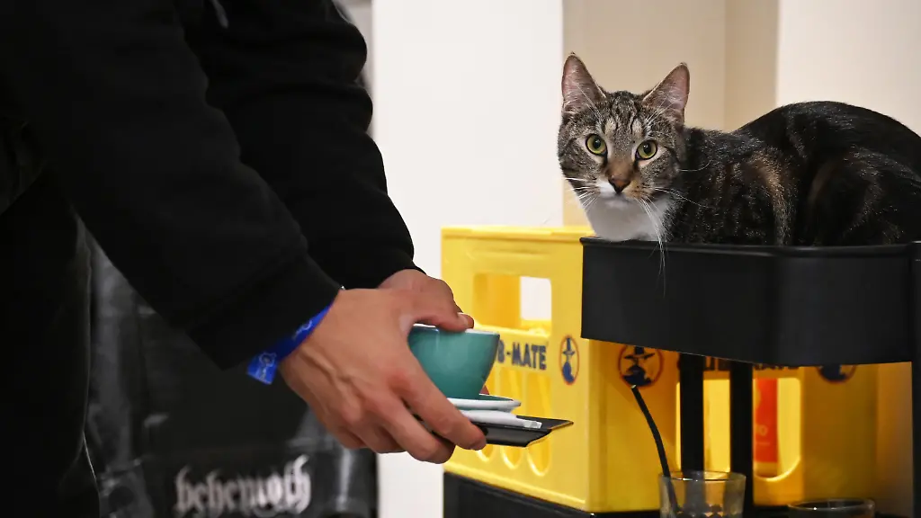 ed94b747fd56be1865952a4326b7c04b