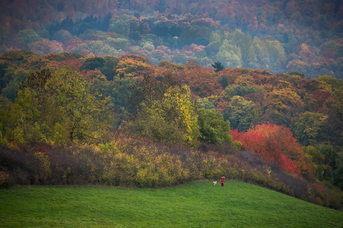 Bild-37-von-40-2015-10-25-008