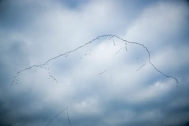 Bild-35-von-40-2015-10-25-001