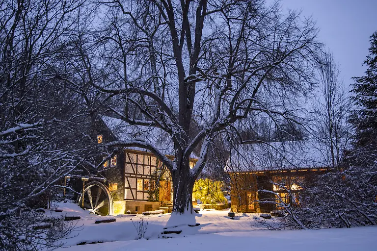 Bild-40-von-40-2021-02-08-006