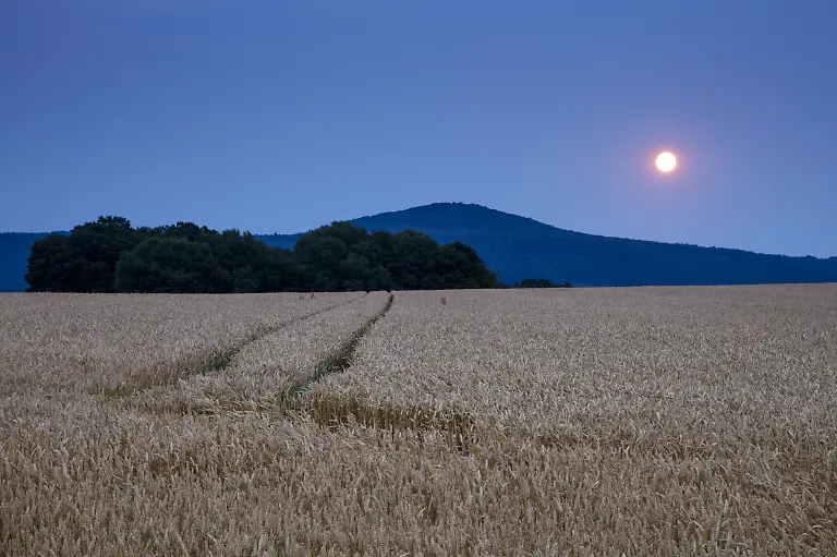 Bild-31-von-40-2016-07-20-143