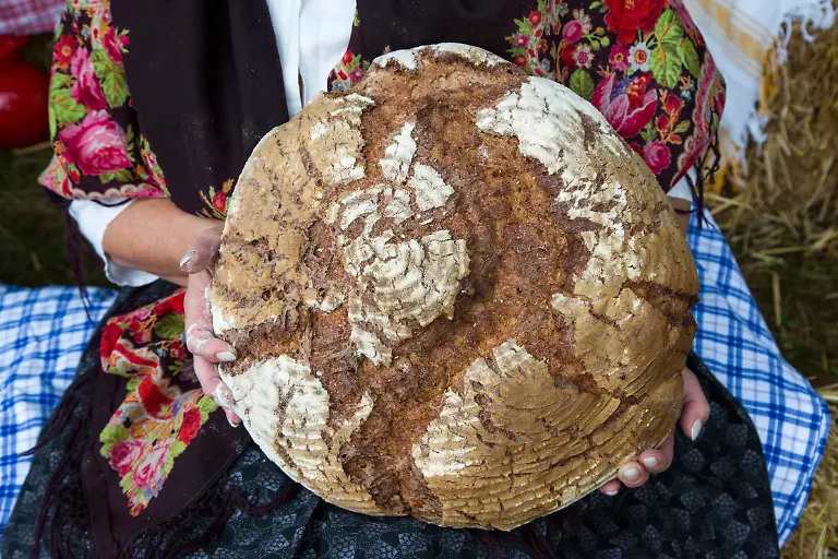 Bild-32-von-40-2013-08-25-028