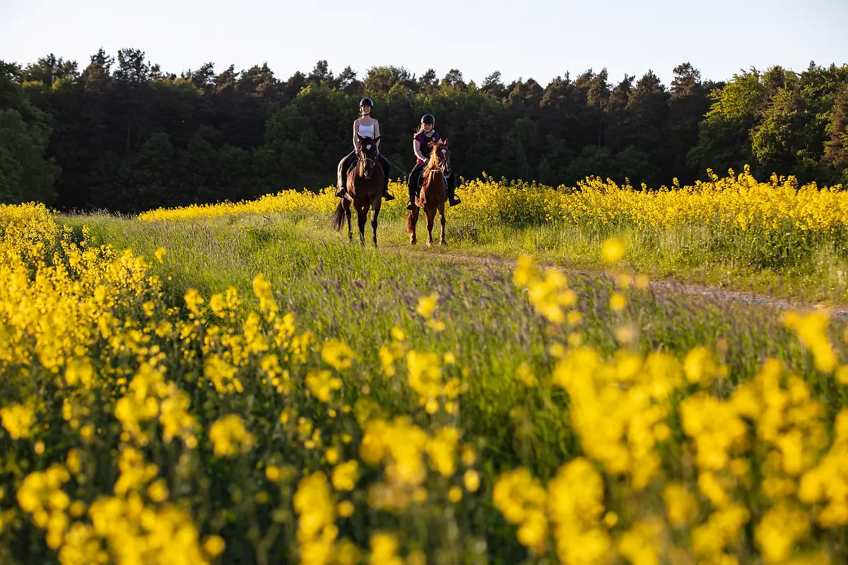 Bild-08-von-40-2018-05-07-064