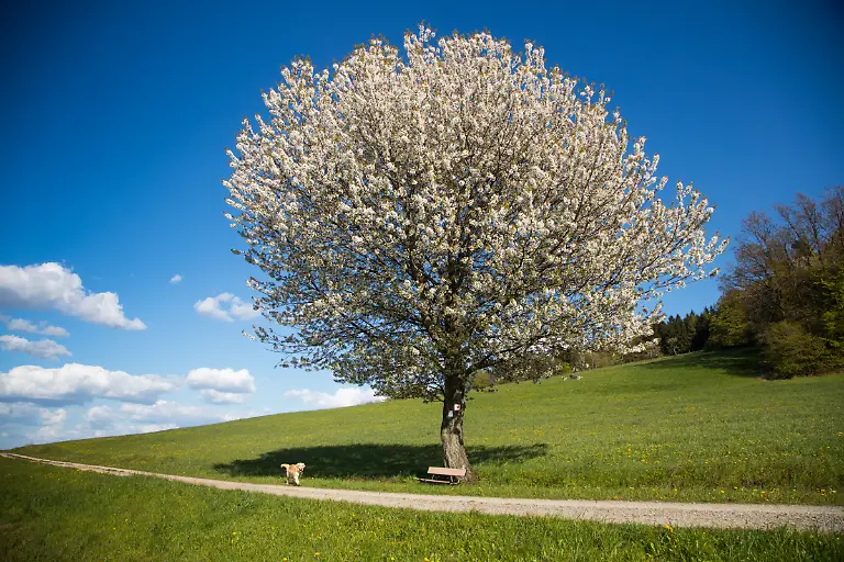 Bild-04-von-40-2016-05-04-010