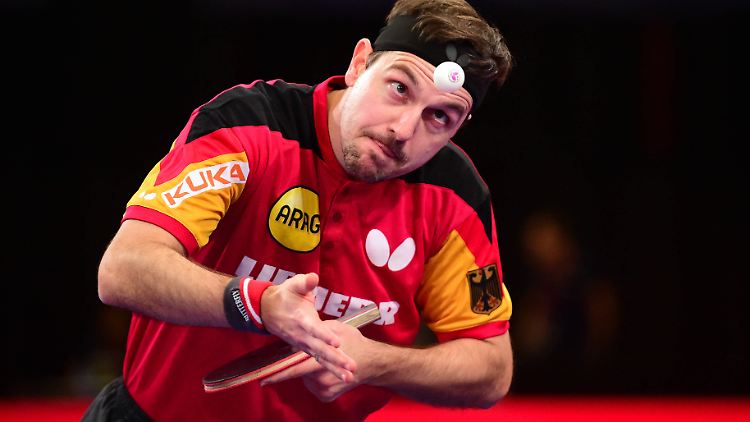 Mit dem ersten von drei Matchbällen trotz Bauchmuskelzerrung zum Sieg: Timo Boll gibt nur zwei Sätze ab.