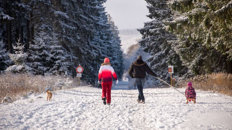Am Erbeskopf, dem höchsten Berg in Rheinland-Pfalz, kann man schon einen Winterspaziergang machen.
