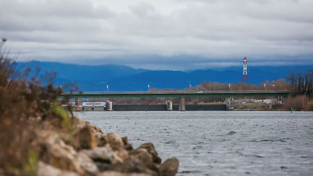 Nach-dem-Fund-von-Leichenteilen-im-Rhein-ist-ein-58-Jaehriger-angeklagt