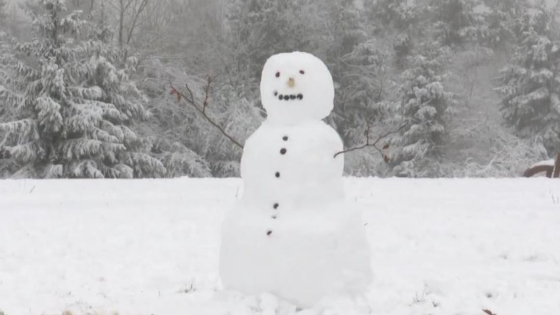 schneemann.JPG