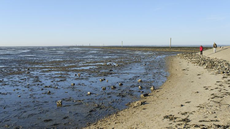 Das Wattenmeer ist auch bei Touristen beliebt.