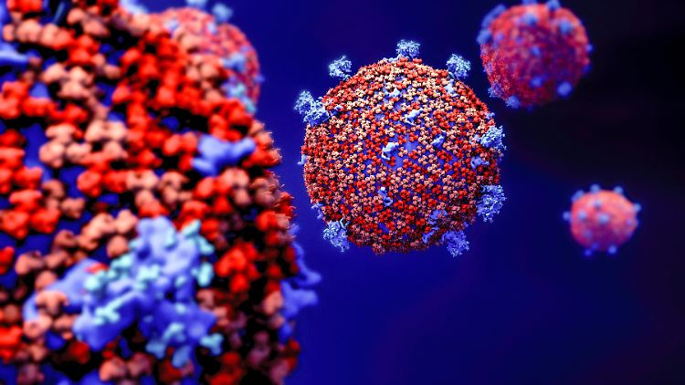 Die neue Omikron-Variante von Sars-CoV-2 verblüfft Forscher mit einer Fülle an Mutationen. Doch wie wirkt sich das auf ihre Virulenz aus?