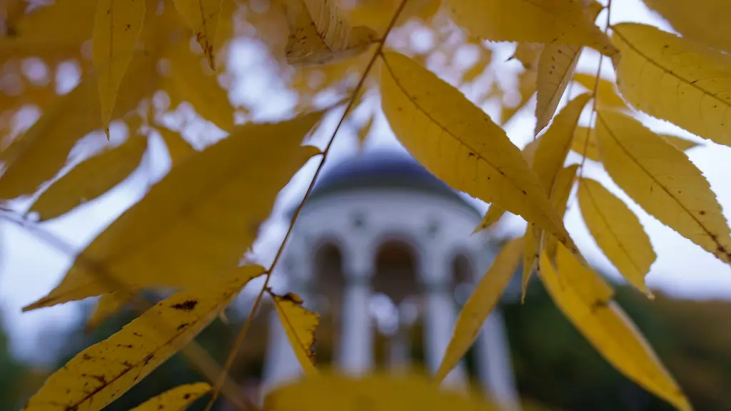 In-Hessen-ist-der-Herbst-angekommen