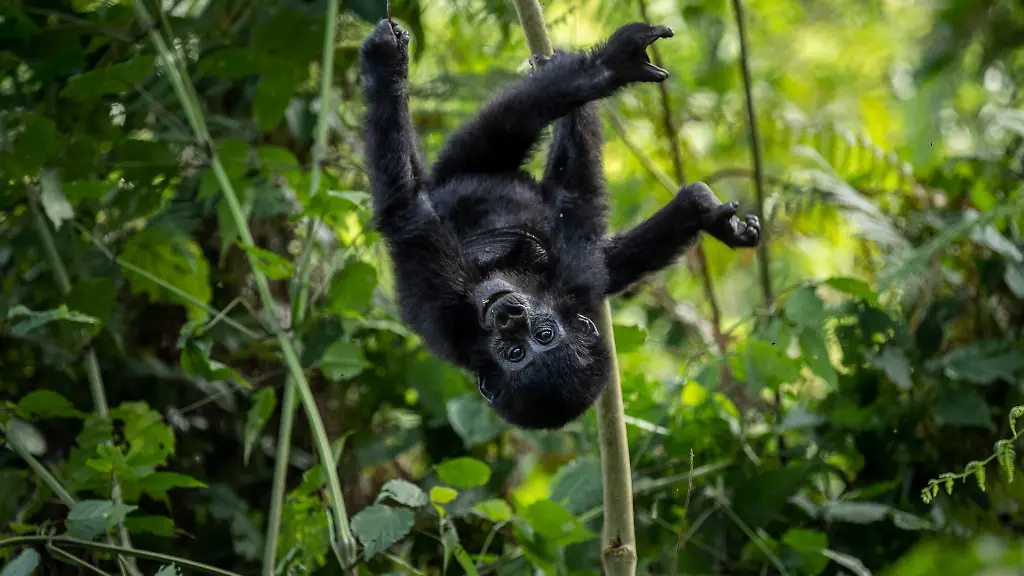 ddaf08de97c6fbeab7b6e60aa0279dbe