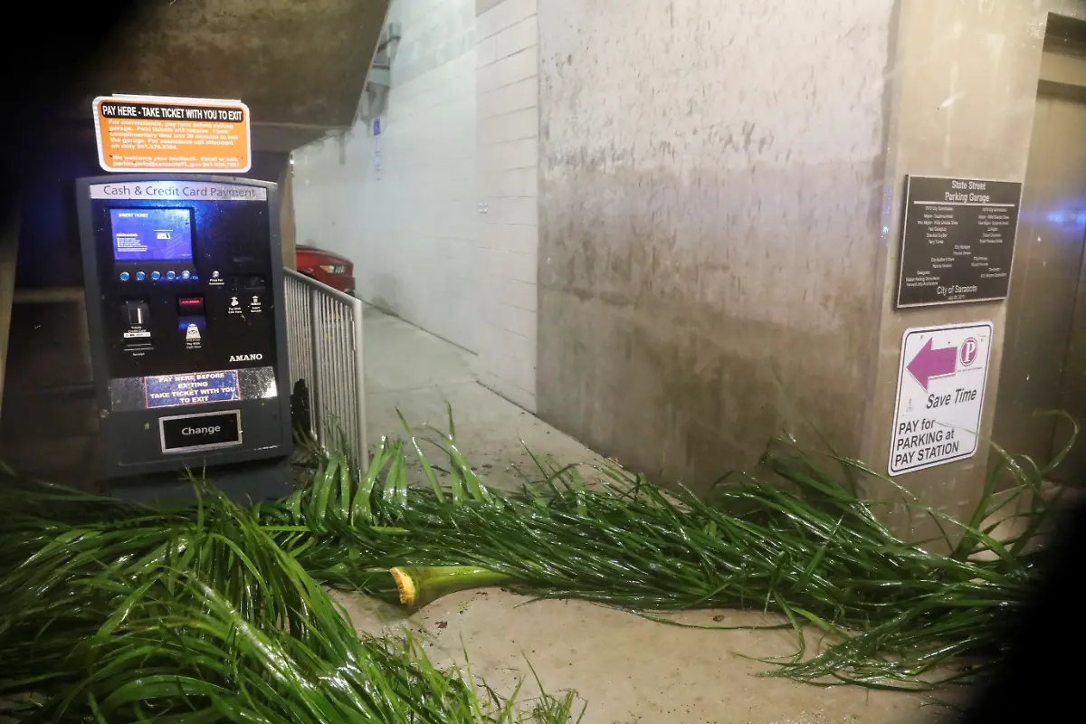 9baebdc4326297209d1a3de960153275