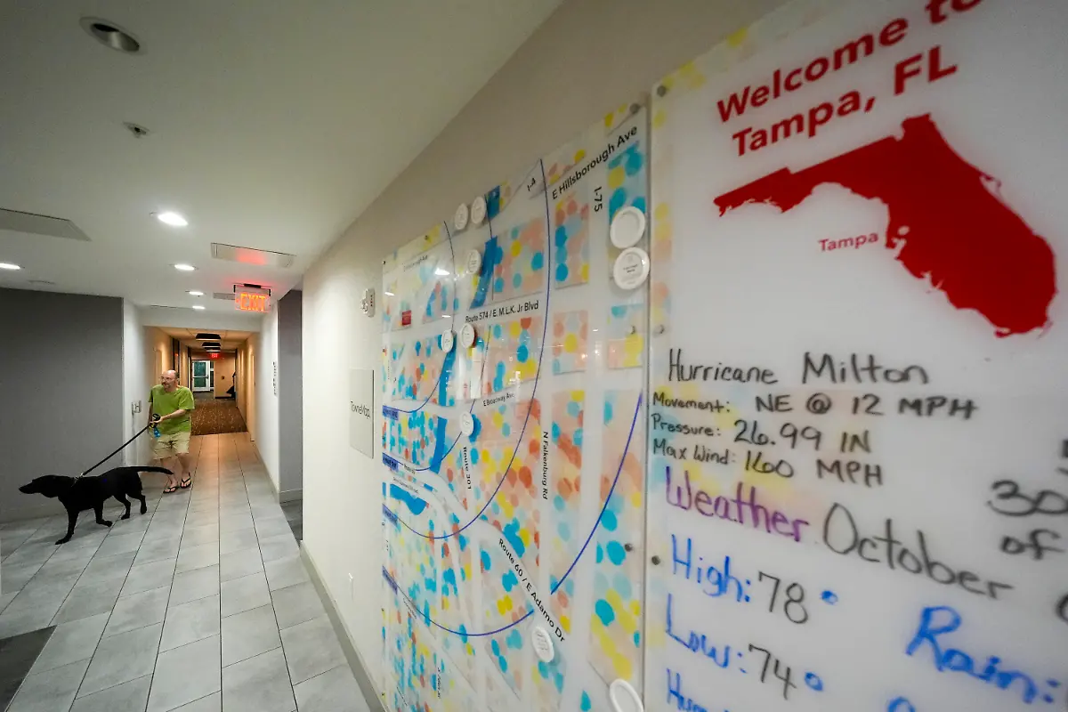 076588656d6c5a564c978f037ed9eb99