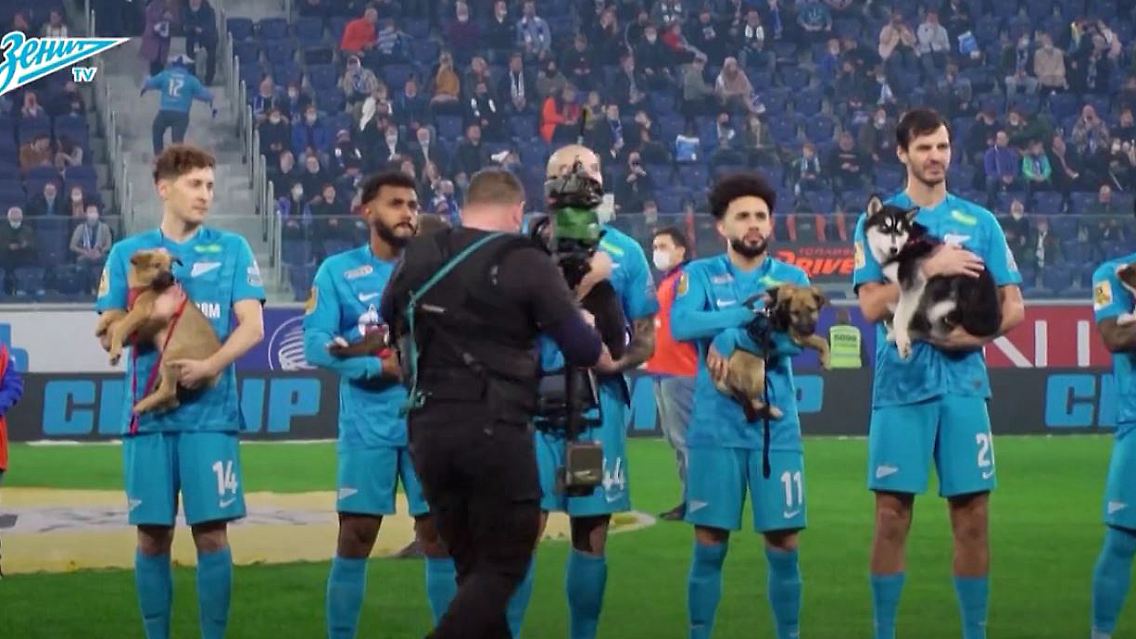 Hunde_Fußball_Zenit.JPG