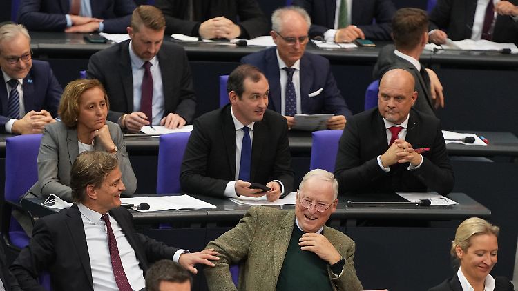 Für die AfD besteht Grund zur Freude. Die Partei stellt künftig die Vorsitzenden für zwei wichtige Ausschüsse im Bundestag.
