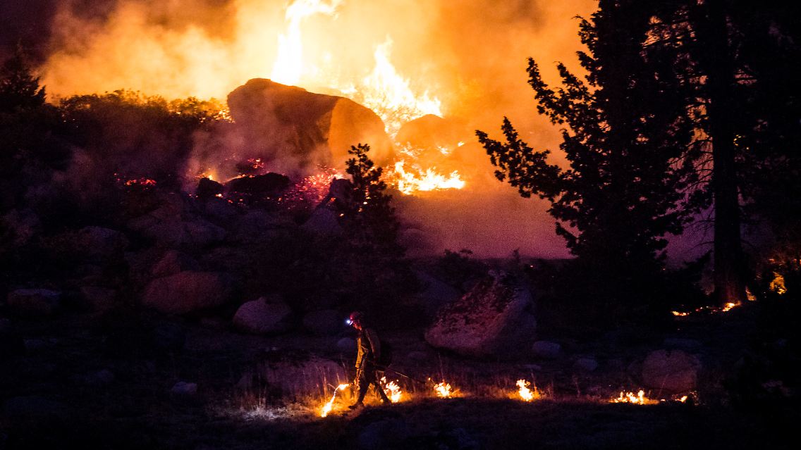 Beim Caldor Fire wurden nach Angaben der kalifornischen Feuerwehr fünf Menschen verletzt und etwa 1000 Häuser zerstört.
