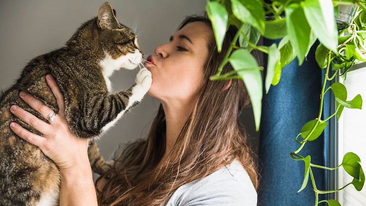 Die Katze küssen ist auch ohne Sars-CoV-2 keine gute Idee.