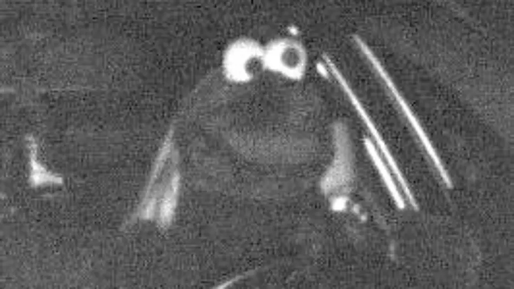 In-dieser-bizarren-Verkleidung-fuhr-eine-Person-zu-schnell-mit-dem-Audi-an-einem-Blitzer-auf-der-A45-vorbei