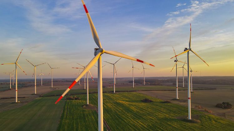 Die Ampel-Regierung hatte in ihrem Koalitionsvertrag einen massiven Ausbau von Wind- und Solaranlagen vereinbart.
