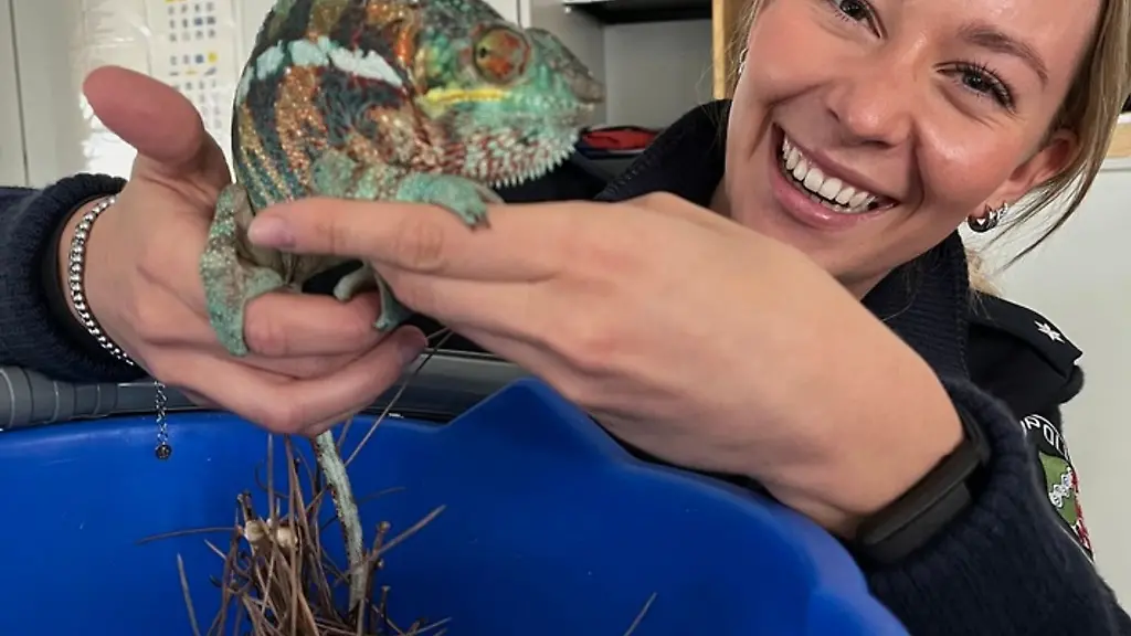 Eine-Polizistin-haelt-Chamaeleon-Willi-in-die-Kamera
