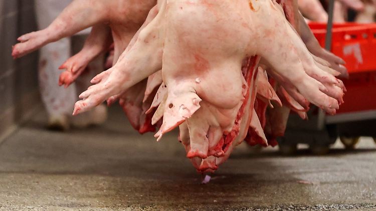 Die Fleischindustrie wälzt Klimakosten und -risiken nach Angaben der IATP auf die Landwirte ab.