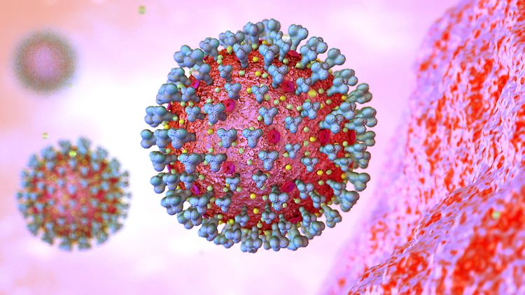 Die große Frage bei Omikron: Wie gut schützen die Impfstoffe vor der besorgniserregenden Virus-Variante?