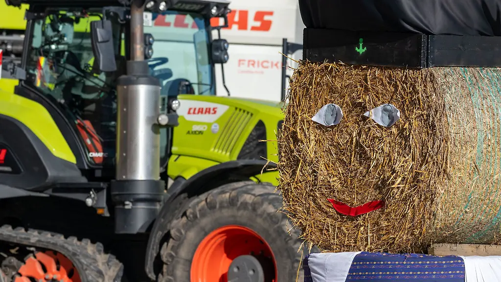 Beim-Raps-hingegen-gingen-laut-Agrarministerium-tendenziell-nicht-nur-die-Anbauflaechen-sondern-auch-die-Ertraege-zurueck-Neben-Schaedlingsbefall-sorgte-die-Witterung-fuer-eher-maessige-Ergebnisse