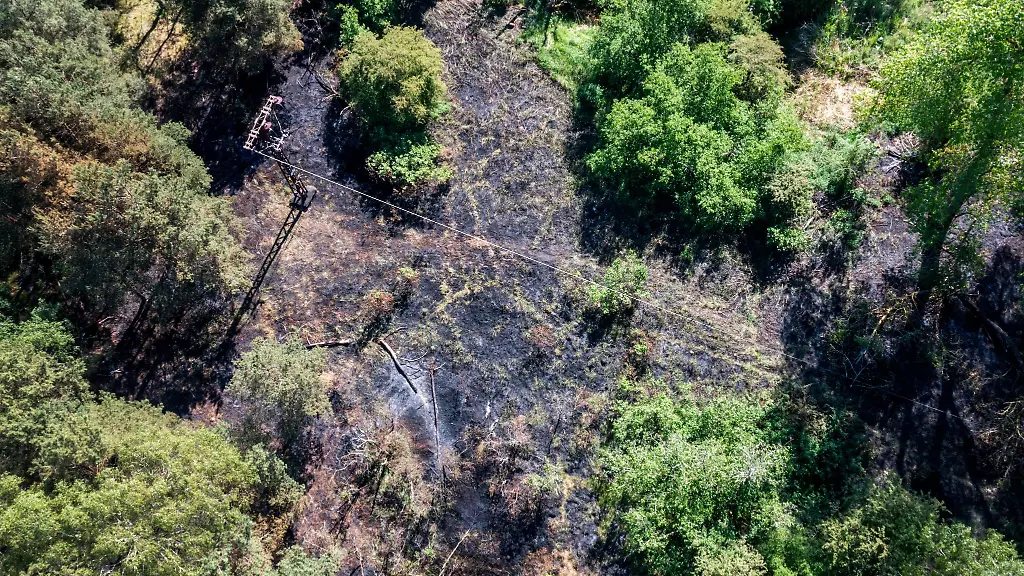 Die-Zahl-der-Waldbraende-ist-im-laufenden-Jahr-bislang-deutlich-niedriger-als-in-Vorjahren