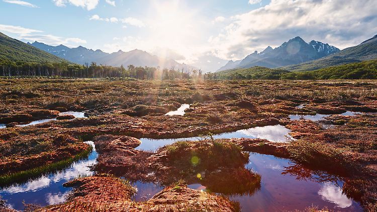 Feuerland ist eine Inselgruppe an der Südspitze des südamerikanischen Kontinents. Der westliche Teil namens "Region Magellanes" gehört zu Chile, der östliche namens "Tierra del Fuego" zu Argentinien. Wunderschön sind beide.