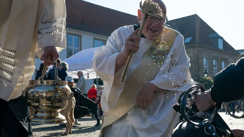 Rund-50-Hunde-wurden-vor-dem-Osnabruecker-Dom-gesegnet