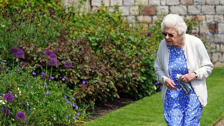 Für die Pflege des königlichen Gartens rund um das Schloss Windsor sucht Queen Elizabeth II. nun einen neuen Gärtner oder eine neue Gärtnerin.