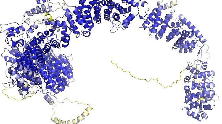Im Rückgrat der Proteinstruktur sind sogenannte Sekundärstrukturelemente als Bänder wiedergegeben.