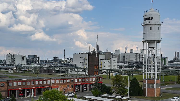 Für die künftige Produktion baut BASF den Standort im brandenburgischen Schwarzheide aus. Die Branche erwartet 2022 ein weiteres Rokordjahr.