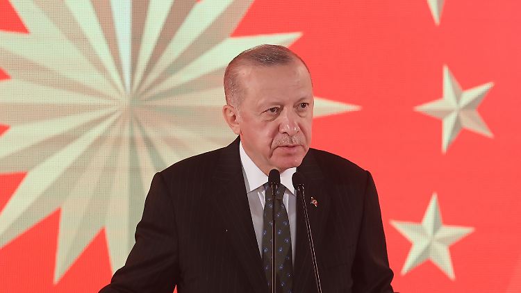 Der türkische Präsident Erdogan sieht in sinkenden Zinsen den Weg aus der Krise. Die Notenbank folgt seinem Kurs und senkt den Leitzins. Experten kritisieren die Entscheidung scharf. 