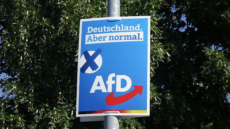 Die AfD in Rheinland-Pfalz wird für die Aussagen einiger Politiker hart kritisiert.