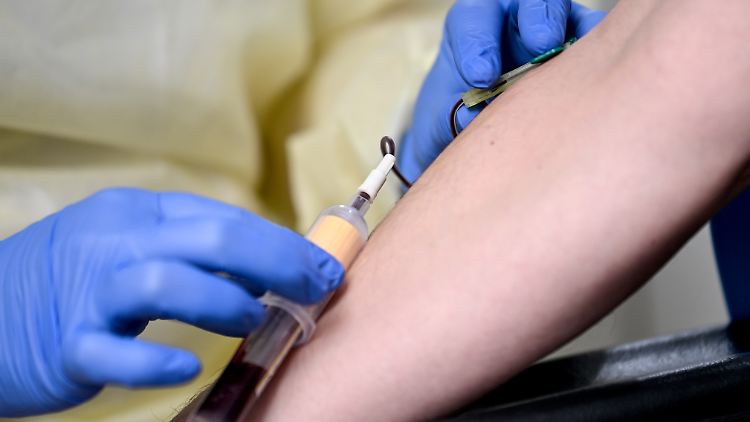 Sowohl Blut- als auch Urinproben müssen ausländische Arbeitskräfte künftig vorlegen.