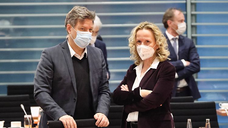 Wirtschafts- und Klimaminister Habeck und Parteifreundin Steffi Lemke.