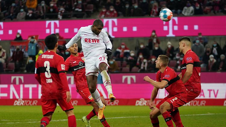 Modeste ist auch ganz spät hellwach.
