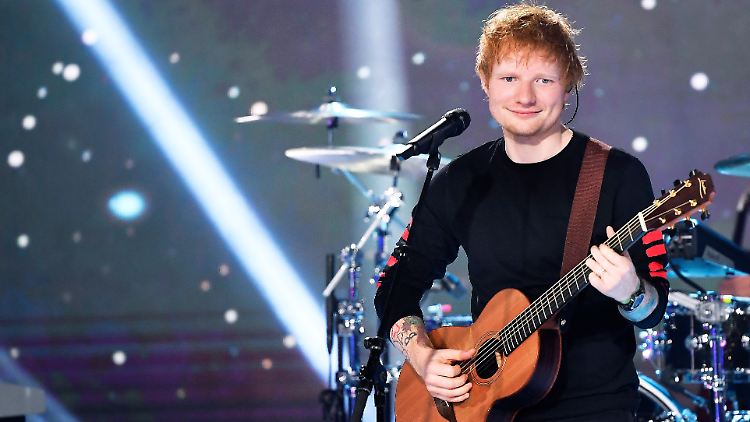 Liebt "die Tierwelt und die Umwelt": Ed Sheeran.