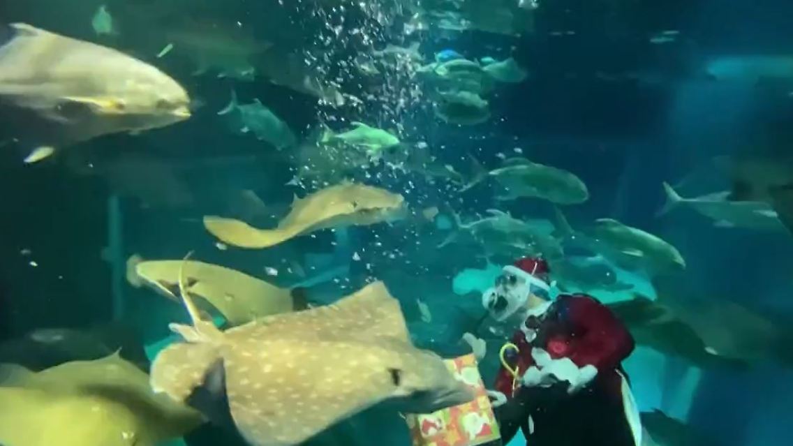 Weihnachtsmann.JPG