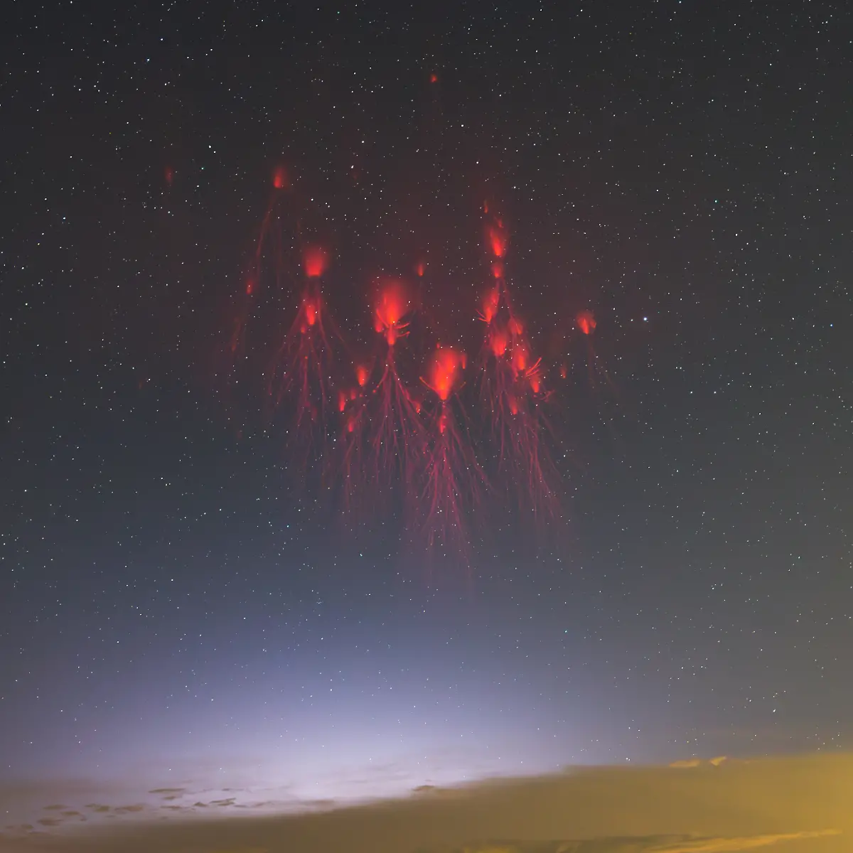 epi-222679347-Sprites-Dancing-in-t