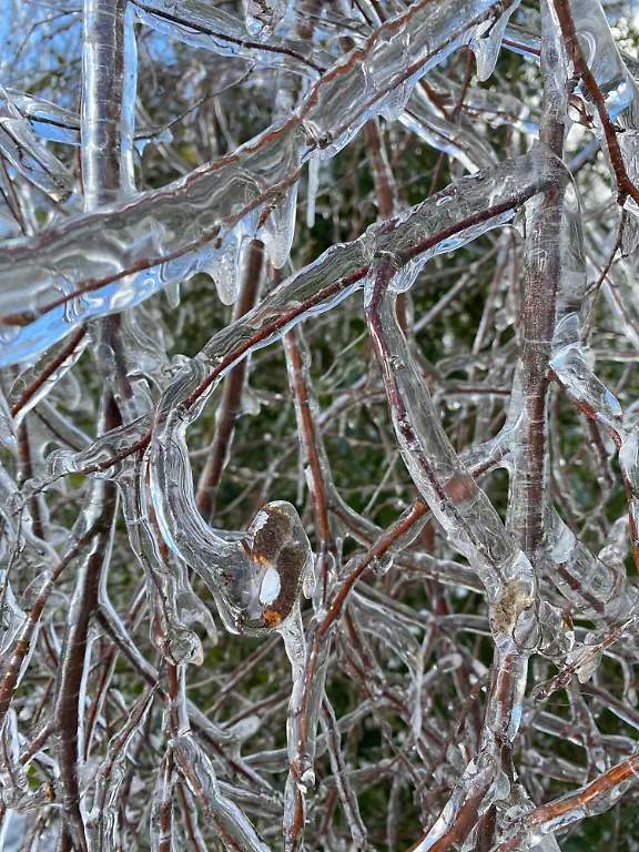 epi-222679349-The-Ice-Storm-Andre