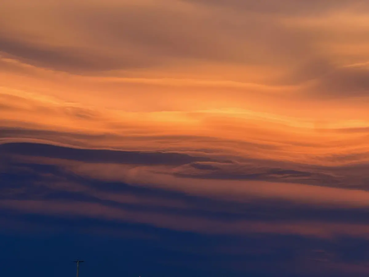 epi-222679362-Li-taami-kooko-Beau