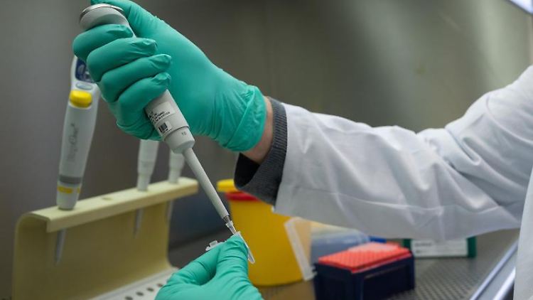Ein PCR-Test wird für die Analyse auf Mutationen des Coronavirus vorbereitet.